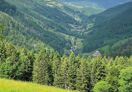 2ADA55DB-F278-499E-87AA-5695FCDB0AF0