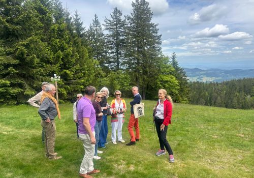 D958414C-7646-43BD-89DA-FEE936F61202